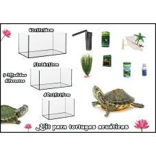 Kit completo de Tortugas acuaticas